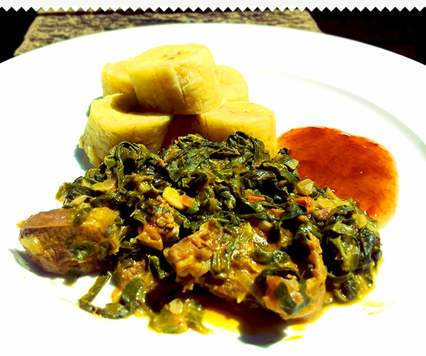 Spinach & Beef Recipe