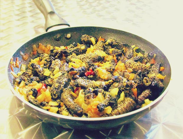 MOPANI WORMS